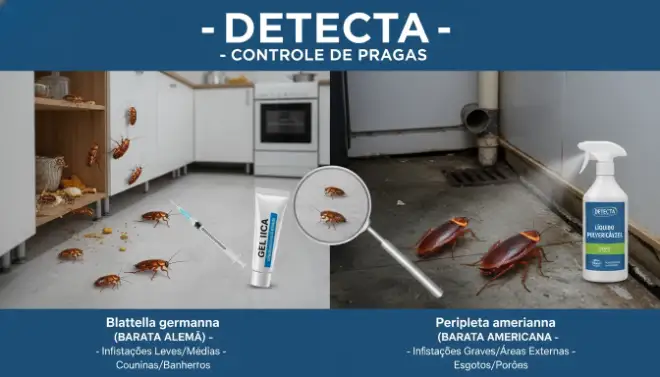 Diferentes espécies de baratas e métodos de dedetização que influenciam o custo do serviço