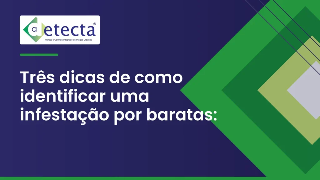 Capa do artigo sobre três dicas de como identificar uma infestação por baratas.