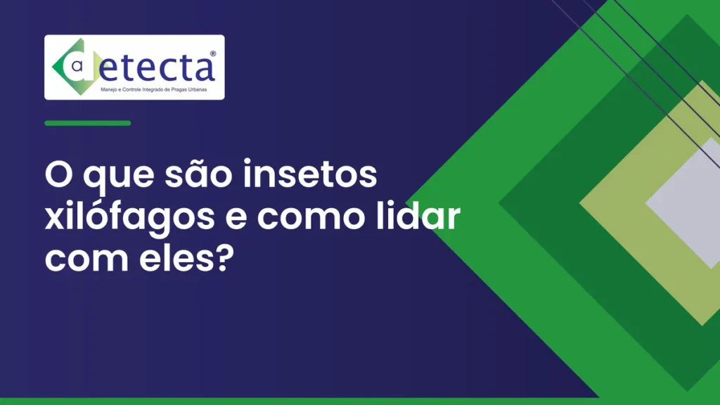 Capa do artigo sobre o que são insetos xilófagos e como lidar com eles.