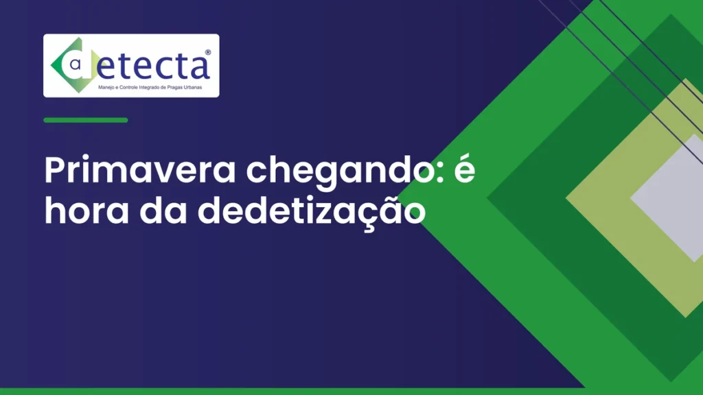 Capa do artigo sobre primavera chegando.