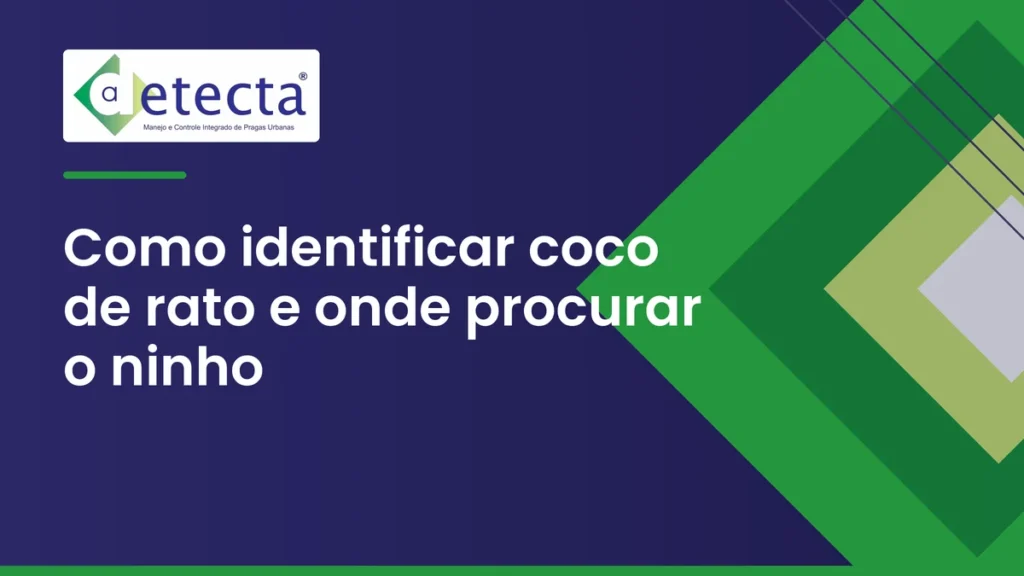 Capa do artigo sobre como identificar coco de rato e onde procurar o ninho.