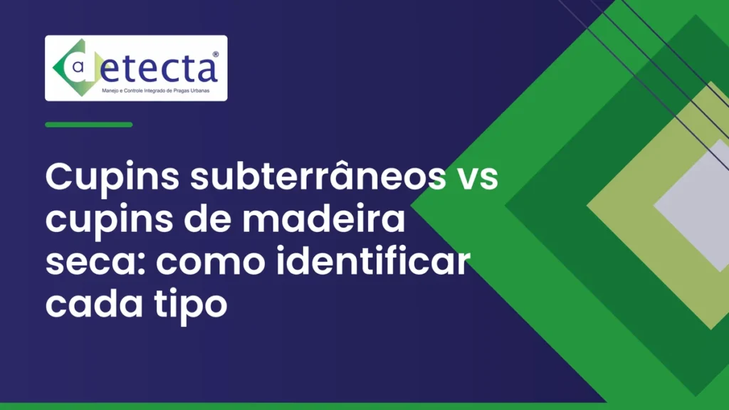 Capa do artigo sobre cupins subterrâneos vs cupins de madeira seca.