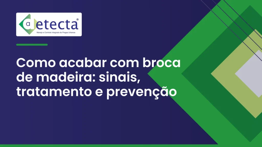 Capa do artigo sobre como acabar com broca de madeira.