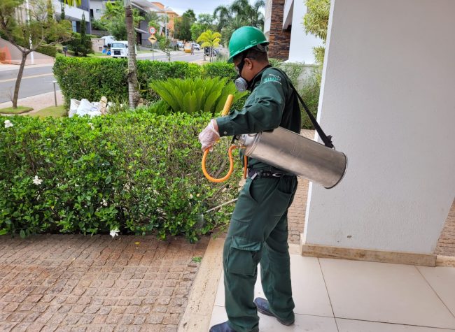 Dedetização Residencial 1